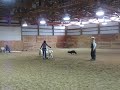 Patrick Shannahan Clinic - 2