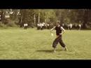 Sommer, Sonne und Kung Fu - Parktraining 2007