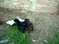 Picture 1758_Archos_.avi
