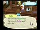 Animal Crossing:City Folk-Beginning the game Animal Crossing:City Folk-Beginning the game