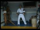 ippon kumite sono san hidariwww.sluiterskrijgskunsten.nl