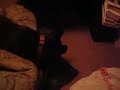 George discovers the inflatable bed part 1
