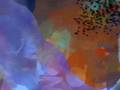 videos de Thomas Moore- The Care of the Soul