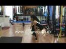 Personal Trainer London - Kettlebell Basics From Dax Moy Personal Trainer London - Kettlebell Basics From Dax Moy