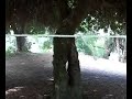 Knot How-To: Bowline, Taut Line Hitch