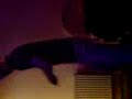 Dancing Boy Dancing Boy