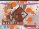「頂上対決」　2008年7月2日 はやて軍団１近衛兵 ＶＳ シナスカ英傑