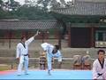 Korean-Tae-Kwon-Do-D