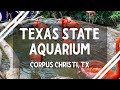 Texas State Aquarium Corpus Christi Tickets