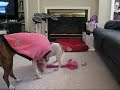 Play with me!