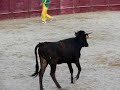 Cortadores de vaquillas en baltanas, palencia
