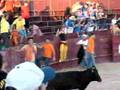 Cortadores de vaquillas en Baltanas, Palencia