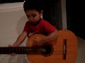 Pedro Luiz tocando