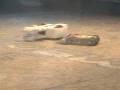 videos de Pitbull vs. Death By Monkeys - RG06