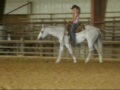 Traveling Impulse \"Trip\"  Western/Bridleless