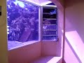 EDIFICIO 2 NIVELES COL ESCALON