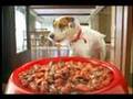 title="Alpo