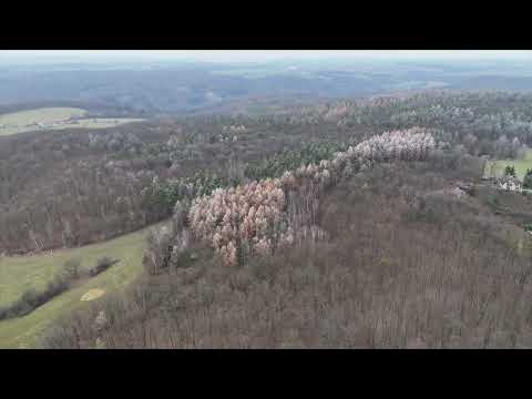 Video Prodej lesa 12 058 m², Petrov - Bohuliby