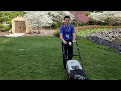 how to properly edge a lawn