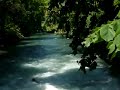 Surfing in Munich (Eisbachwelle im Englischen Garten)