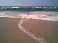 alexo0 skyboard