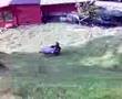jackass-with-olabil