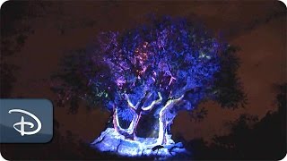 New Rivers of Light footage released...