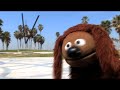 Rolling with the Skateboarding Dog