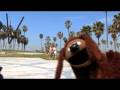 Rolling with the Skateboarding Dog