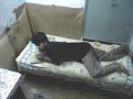 sleeping-with-the-enemy-a-sharma-production-itbhu.html
