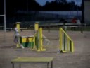 GPF AGILITY COUERON