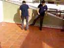 Fulbo de primera 1