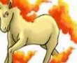 A Rapidash Tribute~you can't take Rapidash