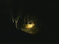 02Sept08 WildEarth pm Drive #3 moving cubs/ a fight 02Sept08 WildEarth pm Drive #3 moving cubs/ a fight