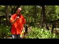videos de Lawn & Gardening Tips : How to Fertilize Flowers