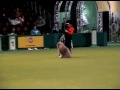 Lesley Neville Crufts 2007