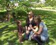 Den Triangel: Botanische Tuin