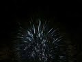 A porcupine goes political(obama) A porcupine goes political(obama)
