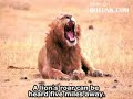 21 Interesting Animal Facts