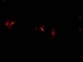 videos de Particulas magicas.