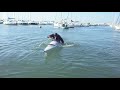 videos kayak