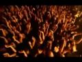 Amon Amarth - Fate Of Norns
