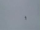 Airshow Radom 2007 Airshow Radom 2007