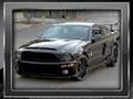 Viper-Knight-Rider-C