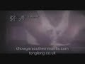 Chow Gar Southern Praying Mantis Demo 1960s Chow Gar Southern Praying Mantis Demo 1960s