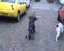 noah en figo