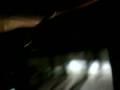 2006 ford gt VS. ford mustang