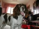 Jack x
