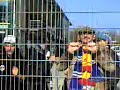 Bekloppte KSC Fans - Bitte nicht f�ttern