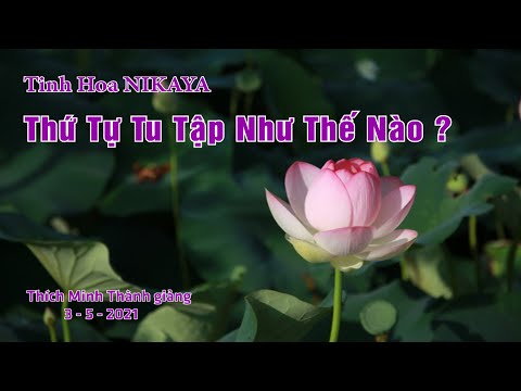 Tinh Hoa NIKAYA - Thứ Tự Tu Tập Như Thế Nào ?